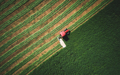 Le principe de la fixation du fermage du bail rural