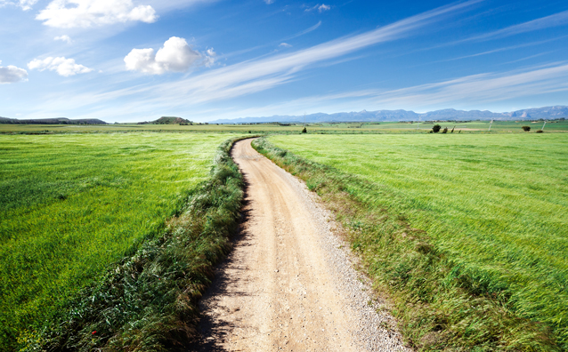 Chemins et sentiers : droits et obligations - Notaires Office
