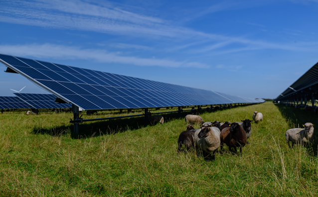 L’agrivoltaïsme : l’alliance de l’agriculture et de l’énergie - Notaires Office