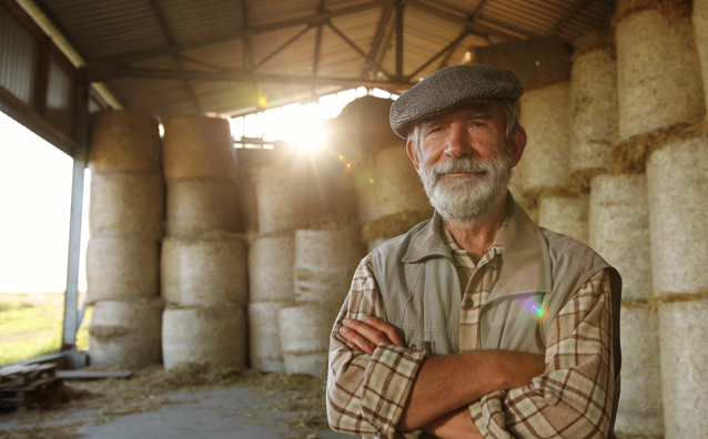 Bail rural en indivision : le congé pour retraite nécessite-t-il l’accord de tous les indivisaires ? - Notaires Office