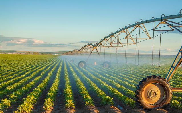 Vente de biens agricoles loués et non loués : la question du droit de préemption du fermier - Notaires Office