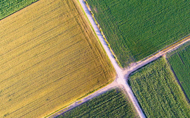 Échange de jouissance de parcelles agricoles : quelles sont les règles ? - Notaires Office